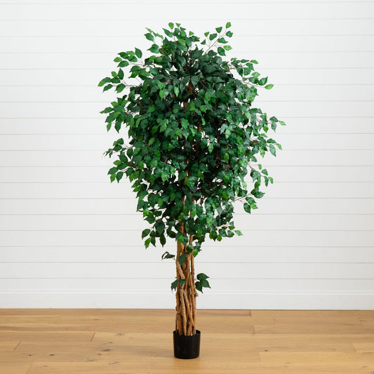 6'  Palace Style Ficus Silk Tree - Tampa Home & Garden Store