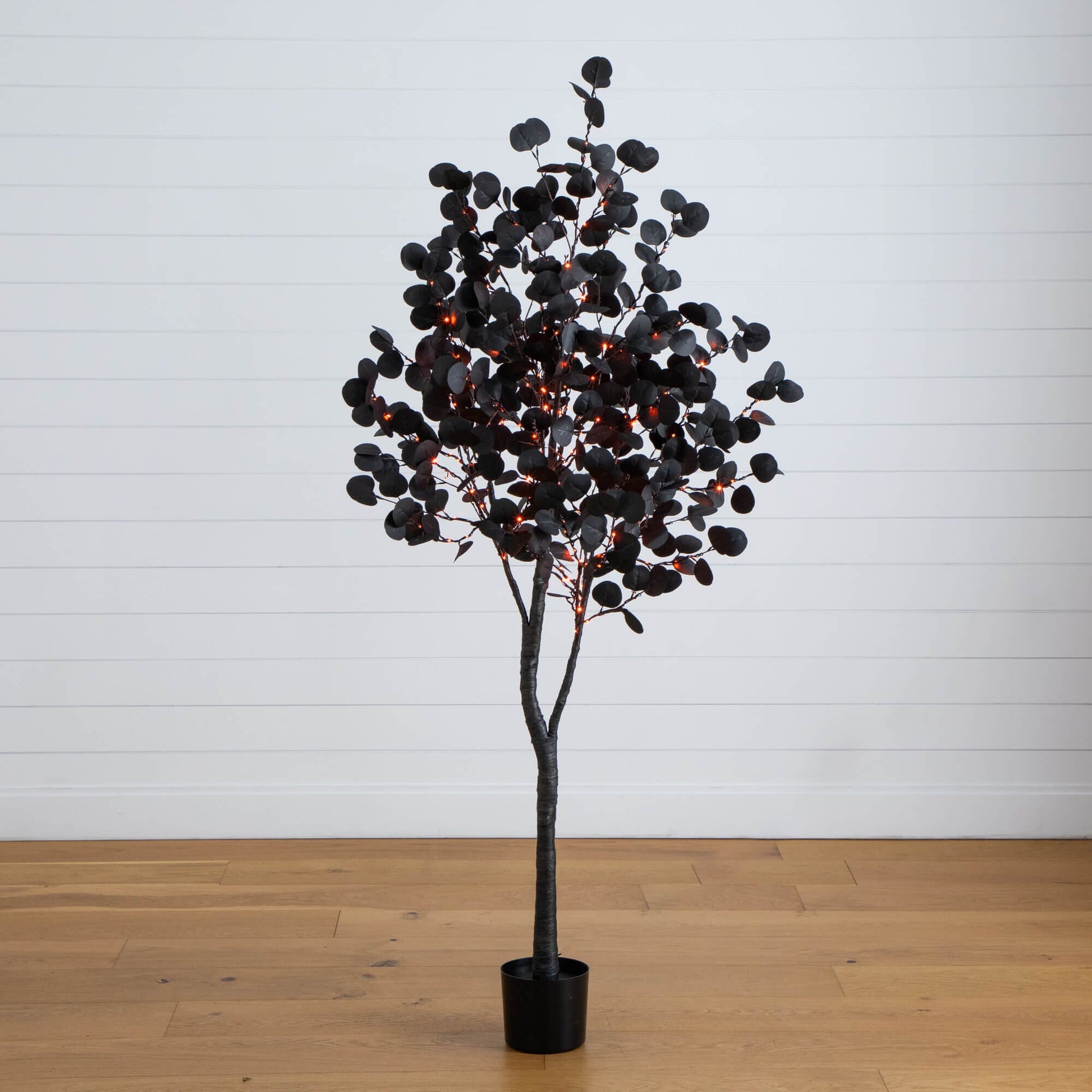 6 ft pre-lit black eucalyptus tree with 300 orange and purple LEDs in black pot on Tampa Home & Garden Store