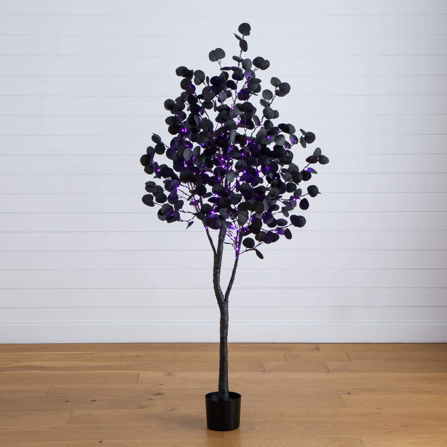 6 ft prelit Halloween black eucalyptus tree with orange and purple LED lights in a pot on Tampa Home & Garden Store