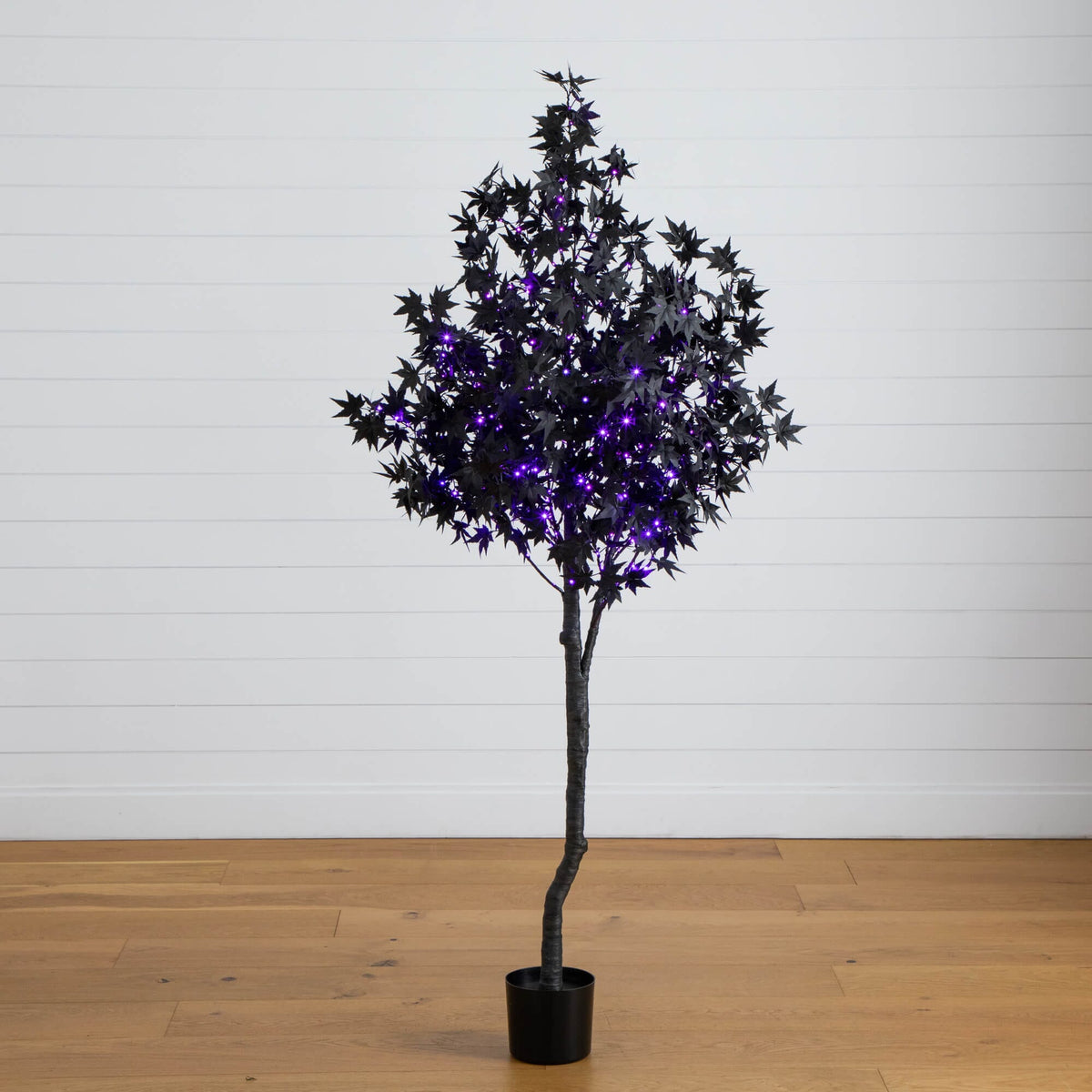 6' Pre-Lit Halloween Black Maple Tree with 300 orange and purple LEDs in a black pot on Tampa Home & Garden Store