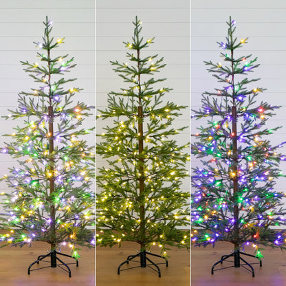 6 Foot Fresh Artificial Tree and Twinkle Lights