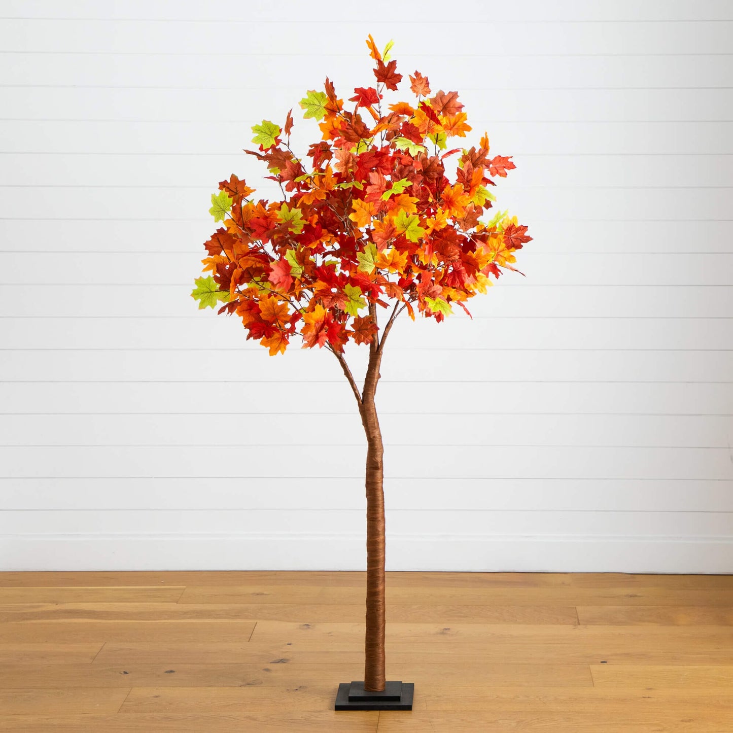 6' pre-lit autumn maple tree with 360 warm white LED lights and fall leaves on a black base on Tampa Home & Garden Store