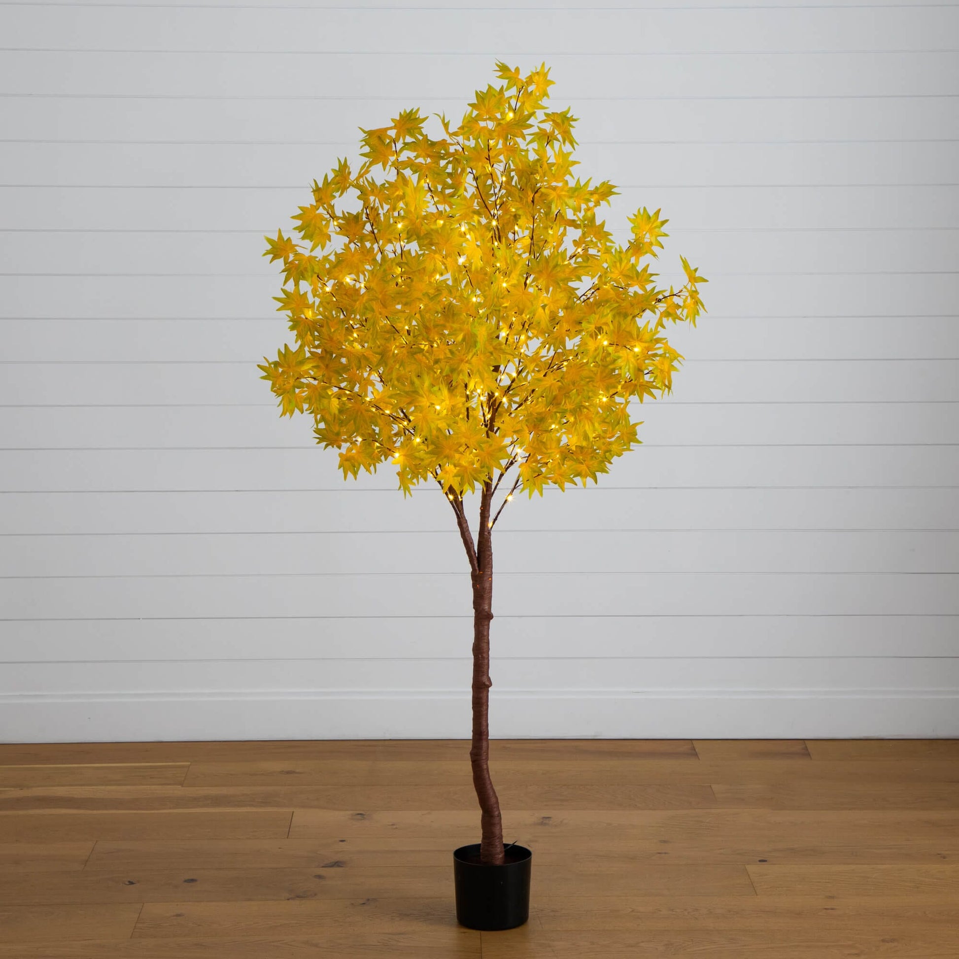 6 ft Pre-Lit Yellow Autumn Maple Artificial Tree with 350 warm white LEDs in black pot on Tampa Home & Garden Store