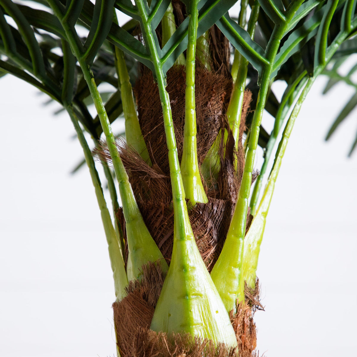 6' Robellini Palm artificial tree Nearly Natural; green trunks with brown base on Tampa Home & Garden Store