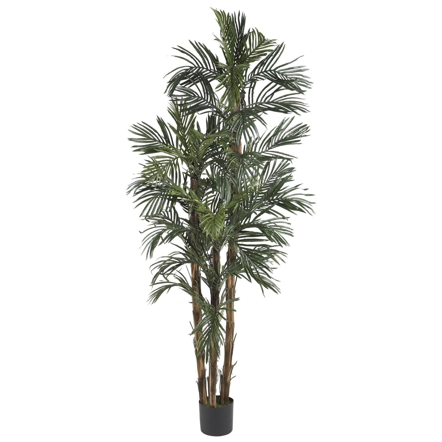 6' Robellini Palm Silk Tree artificial tree with lush green fronds in a black pot on Tampa Home & Garden Store