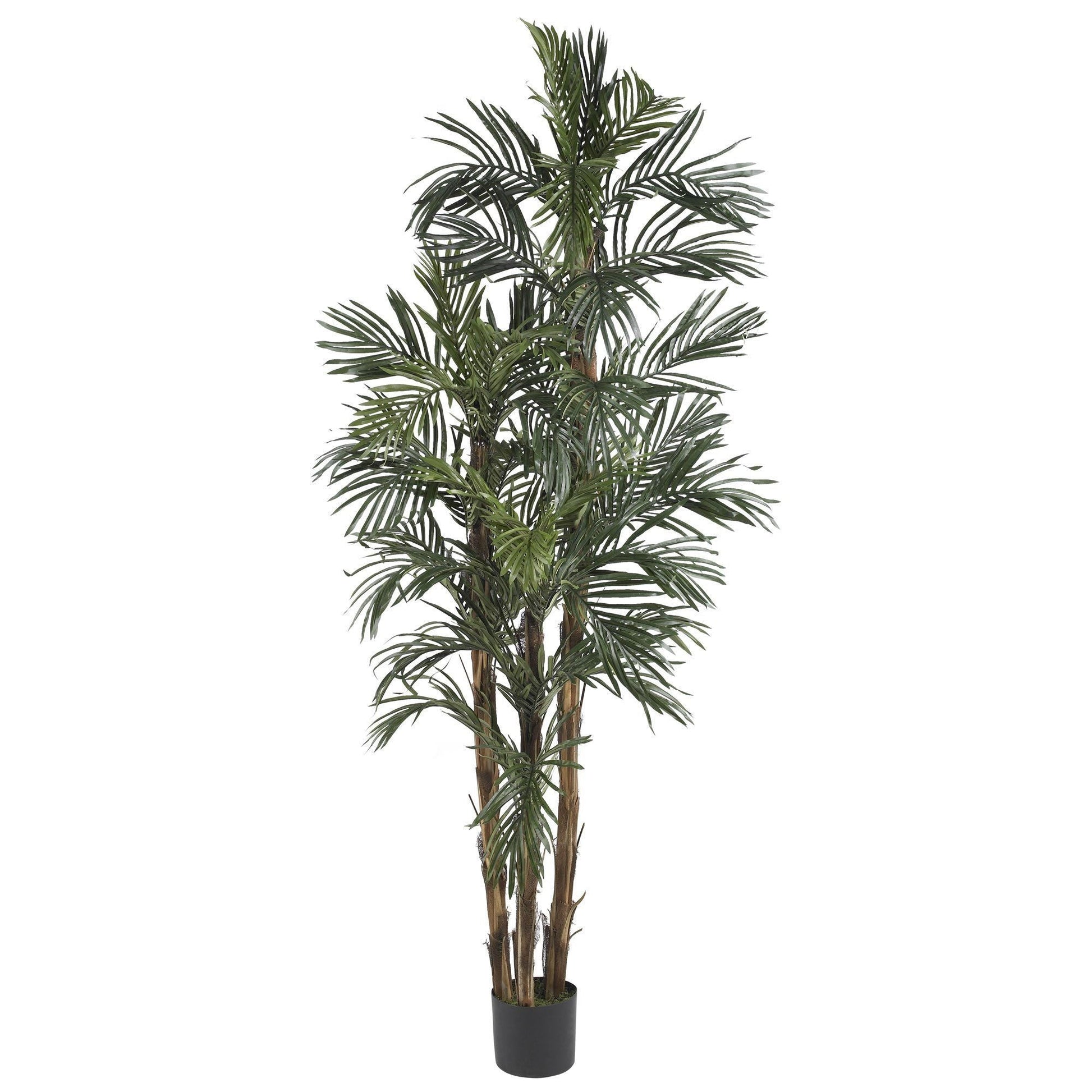 6' Robellini Palm Silk Tree artificial tree with lush green fronds in a black pot on Tampa Home & Garden Store
