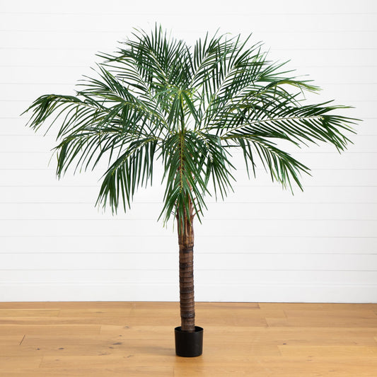 6’ Robellini Palm Tree artificial with lush green fronds in a black planter by Nearly Natural on Tampa Home & Garden Store