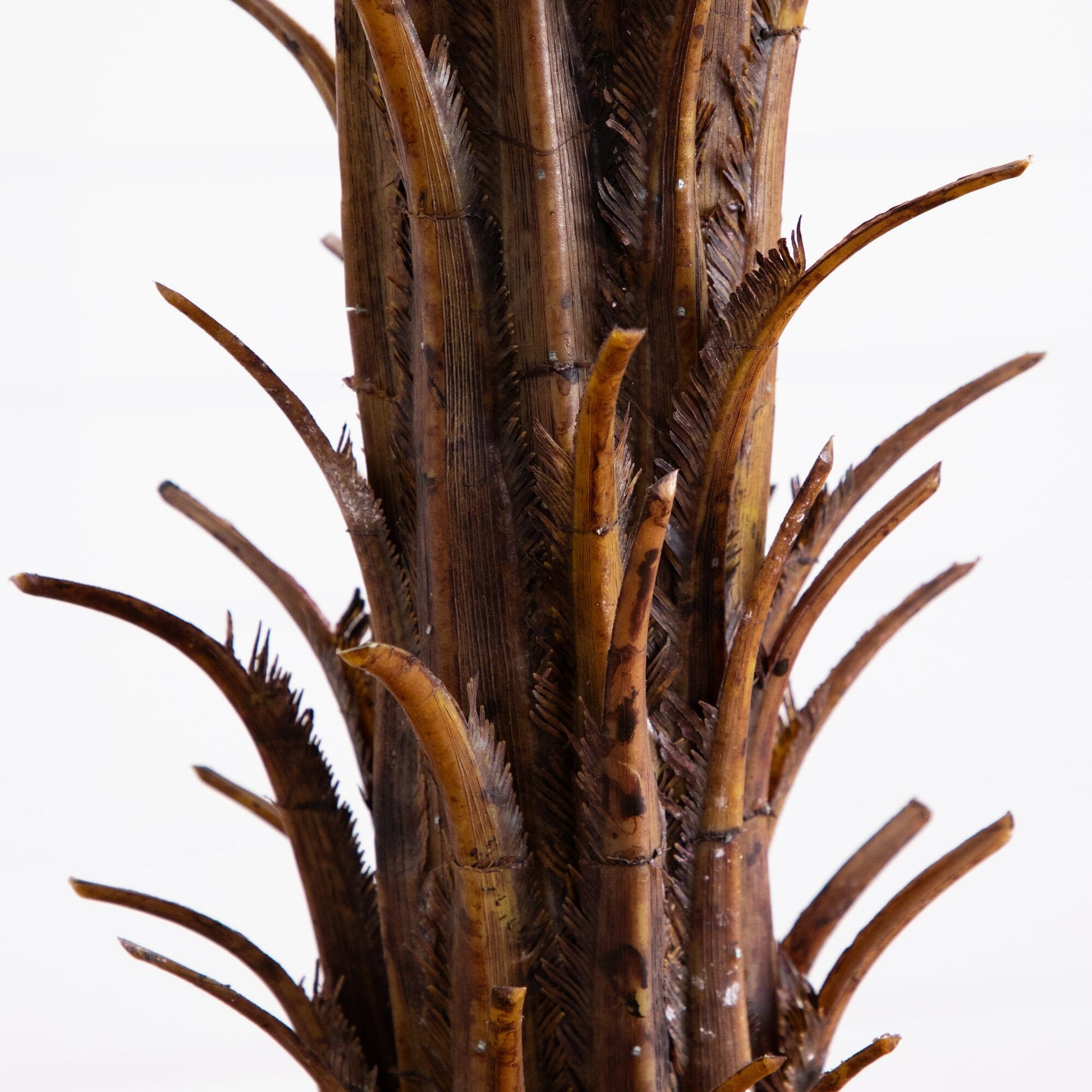 6’ Robellini Palm Tree trunk close-up, brown textured bark, Nearly Natural on Tampa Home & Garden Store