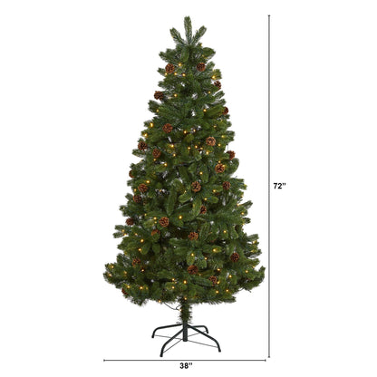 6' Rocky Mountain Spruce artificial Christmas tree with pinecones and 250 clear LED lights on Tampa Home & Garden Store