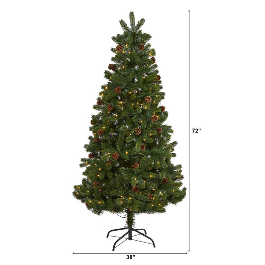 6' Rocky Mountain Spruce artificial Christmas tree with pinecones and 250 clear LED lights on Tampa Home & Garden Store