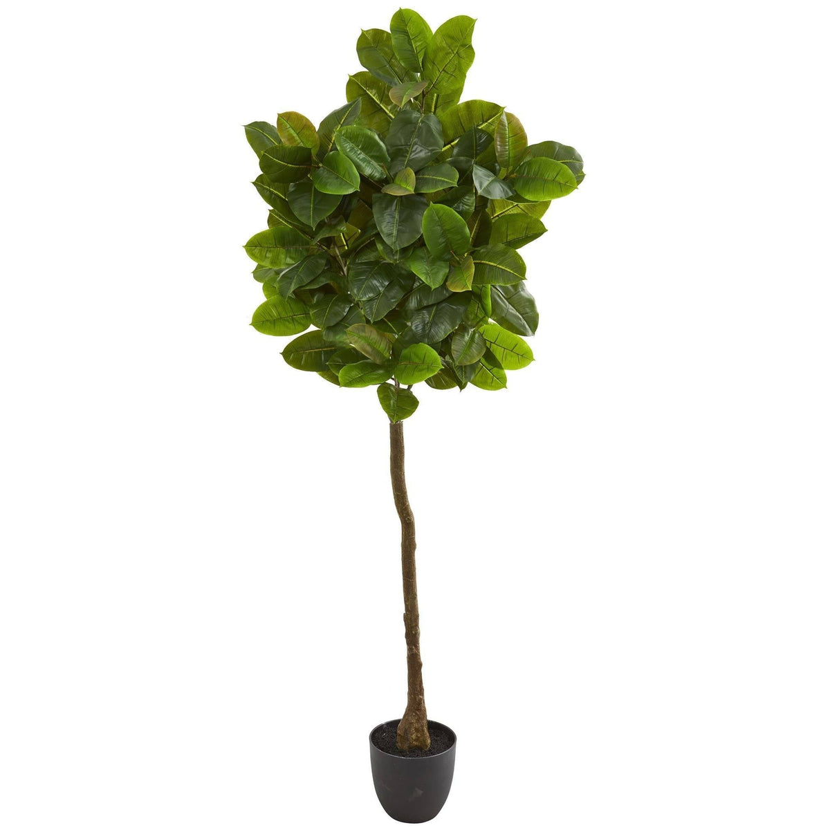 6ft Rubber Leaf Artificial Tree Real Touch by Nearly Natural in dark pot on Tampa Home & Garden Store