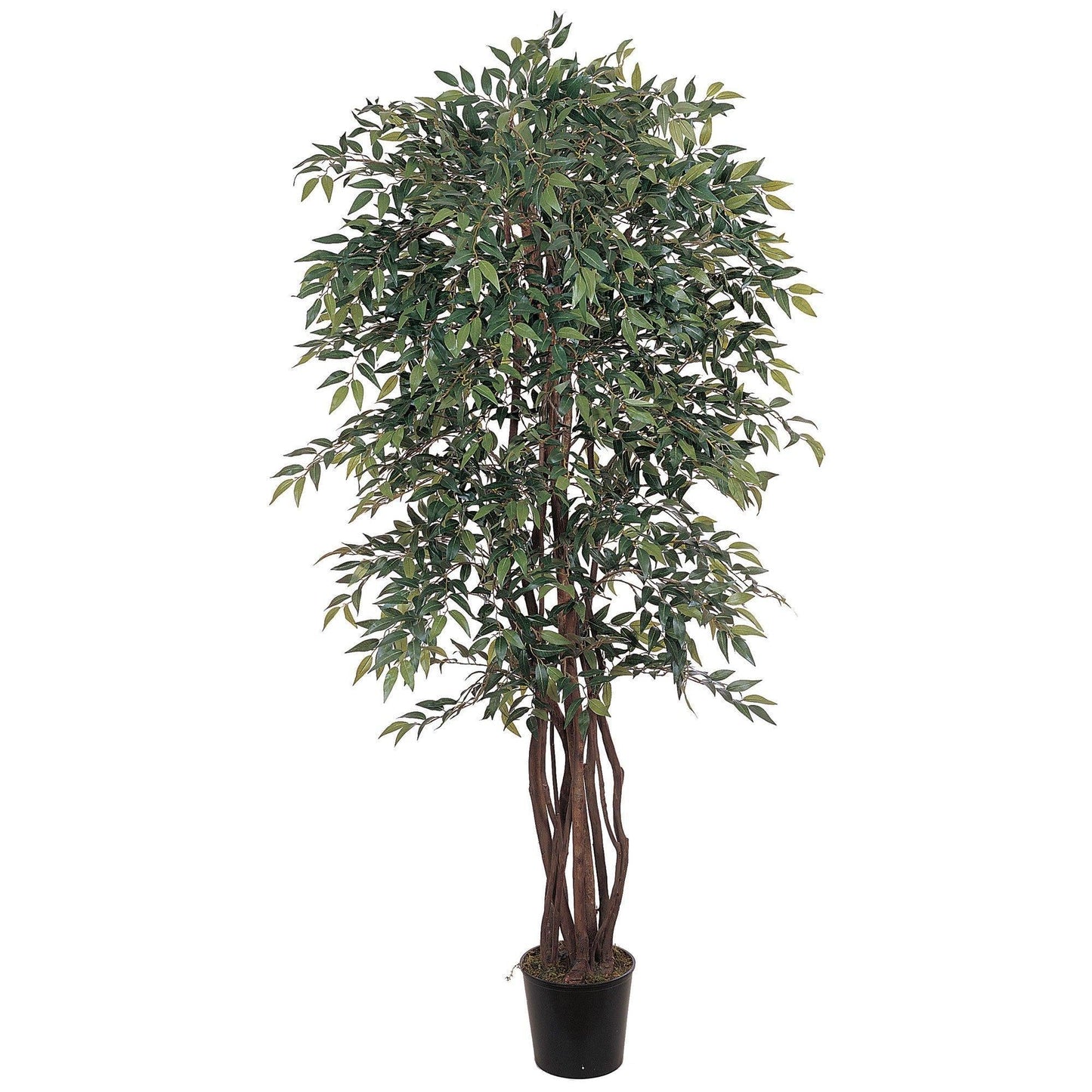 6 ft Smilax Silk Tree by Nearly Natural with multiple trunks and lush green leaves in a black planter on Tampa Home & Garden Store