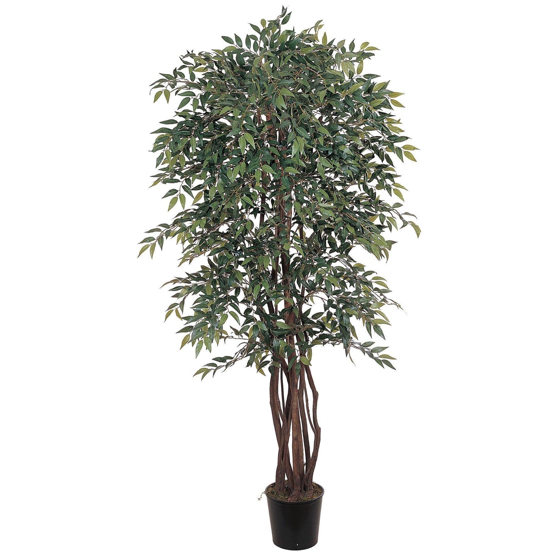 6 ft Smilax Silk Tree by Nearly Natural with multiple trunks and lush green leaves in a black planter on Tampa Home & Garden Store