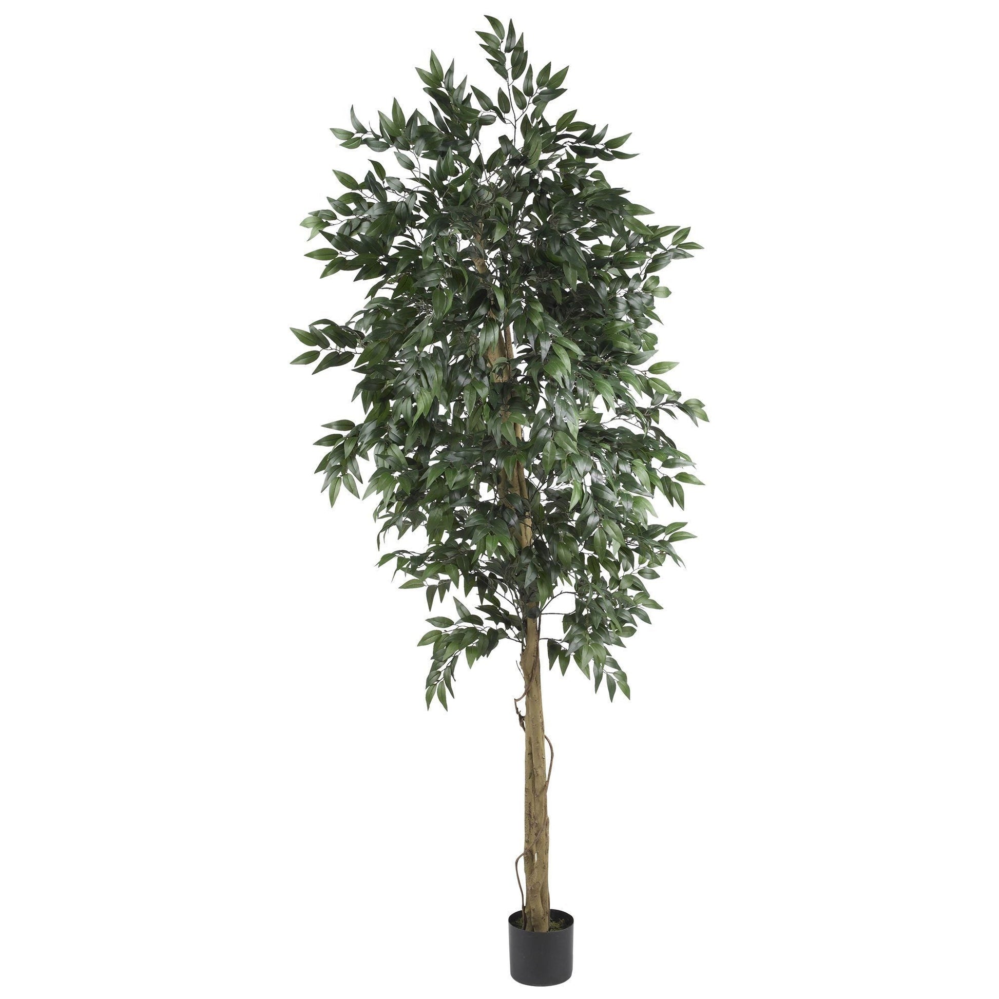 6 ft Smilax Tree artificial green foliage by Nearly Natural, potted in black planter on Tampa Home & Garden Store