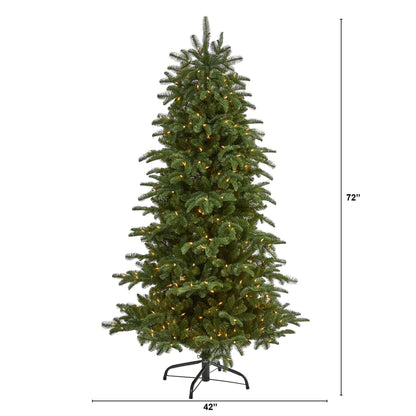 6 ft South Carolina Fir Christmas Tree by Nearly Natural with 450 clear lights on Tampa Home & Garden Store