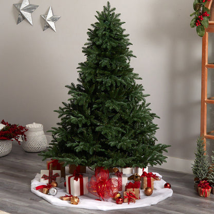 6’ South Carolina Spruce Christmas Tree with 400 white lights and 1908 bendable branches on Tampa Home & Garden Store