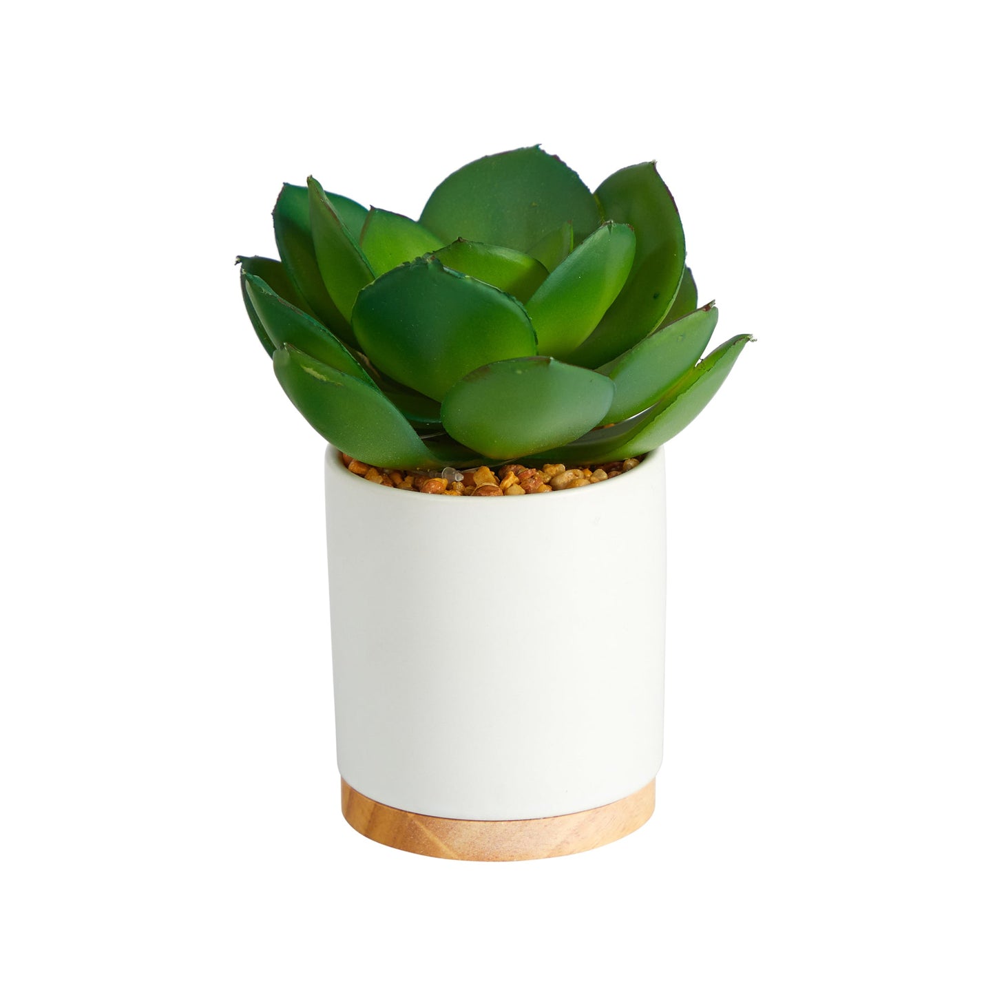 6-inch Succulent Artificial Plant in White Ceramic Planter with gravel fill on Tampa Home & Garden Store