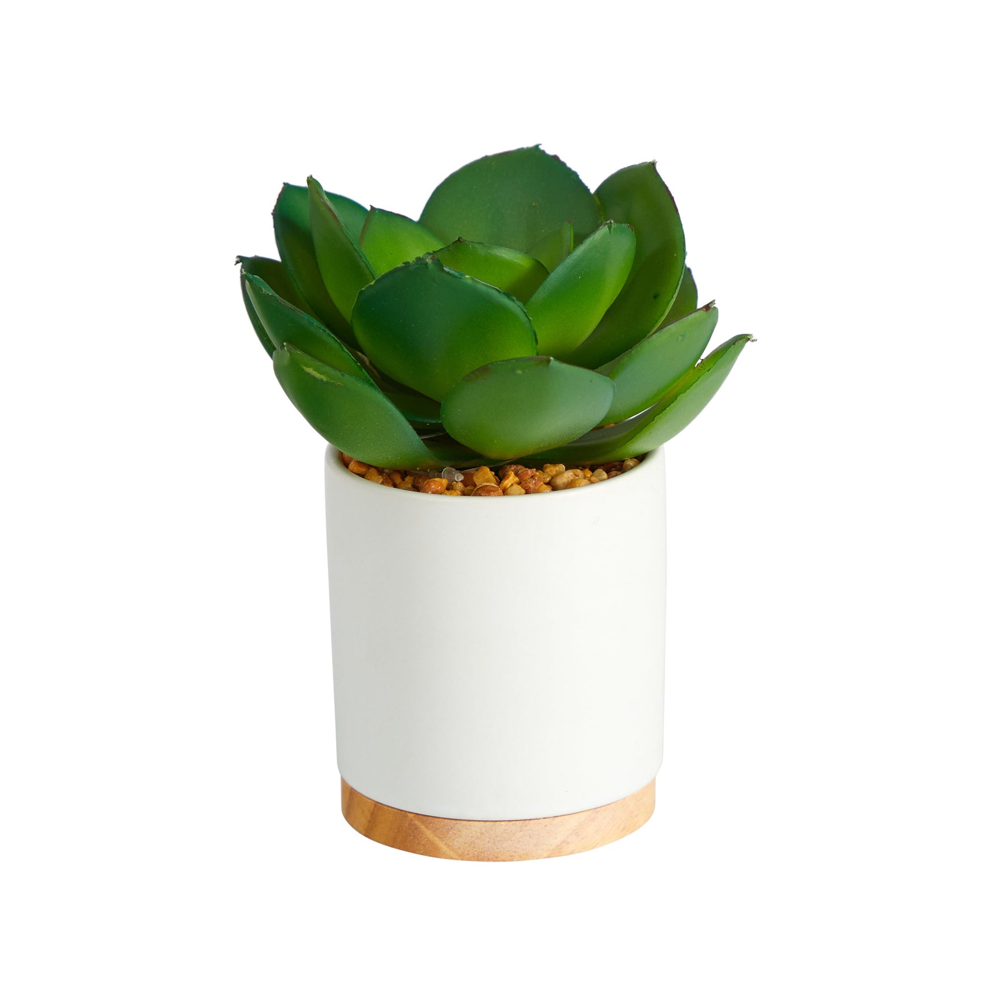 6-inch Succulent Artificial Plant in White Ceramic Planter with gravel fill on Tampa Home & Garden Store