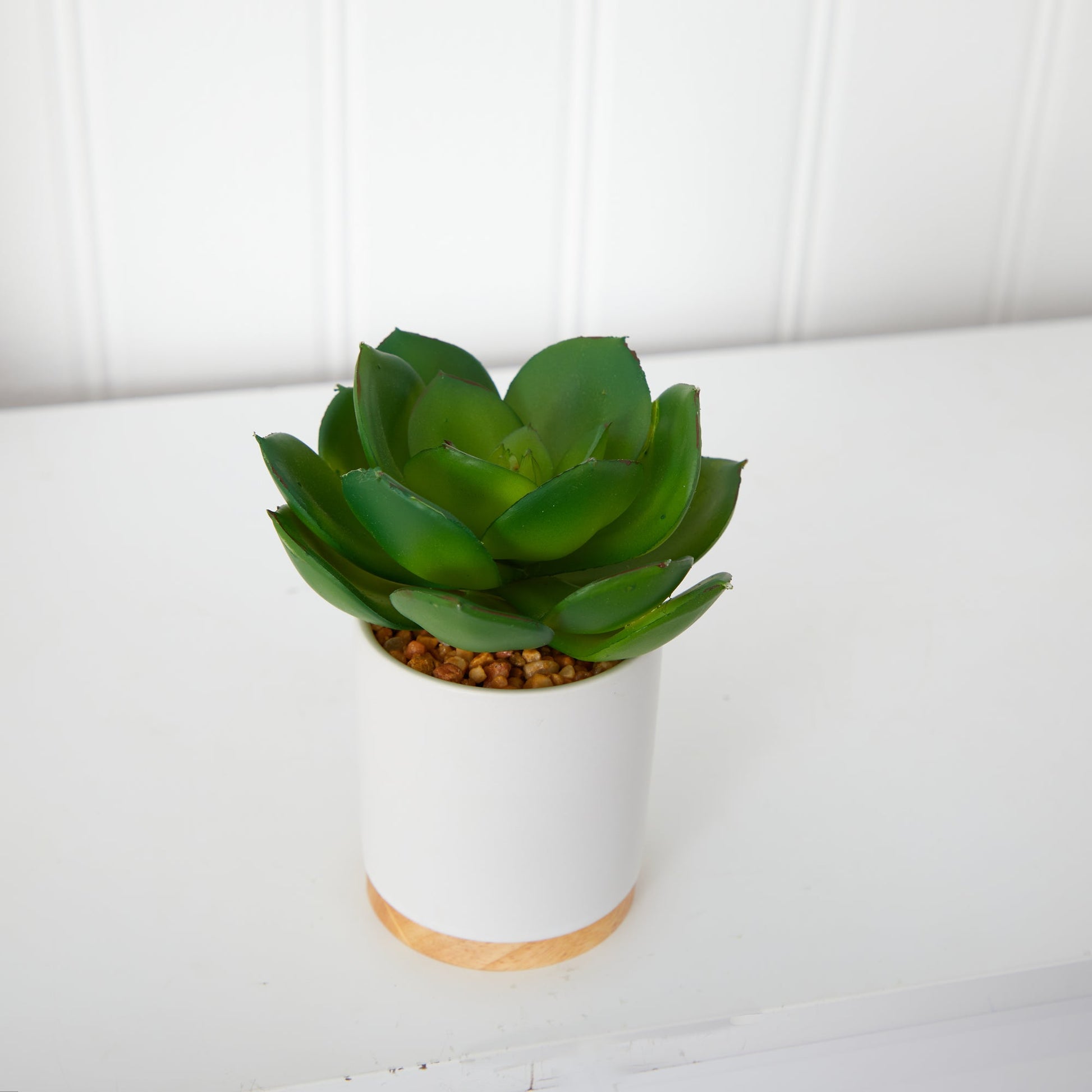 6” succulent artificial plant in white ceramic planter with pebbled gravel by Nearly Natural on Tampa Home & Garden Store