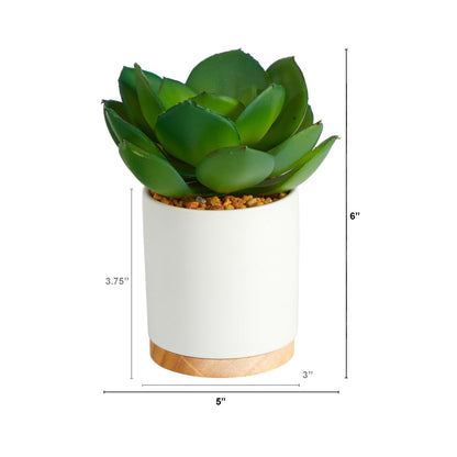 6-inch artificial succulent plant in white ceramic planter with decorative pebbles Nearly Natural on Tampa Home & Garden Store