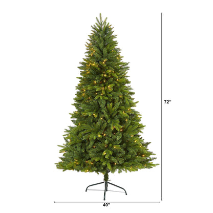 6 ft Sun Valley Fir artificial Christmas tree with 300 clear LED lights by Nearly Natural on Tampa Home & Garden Store