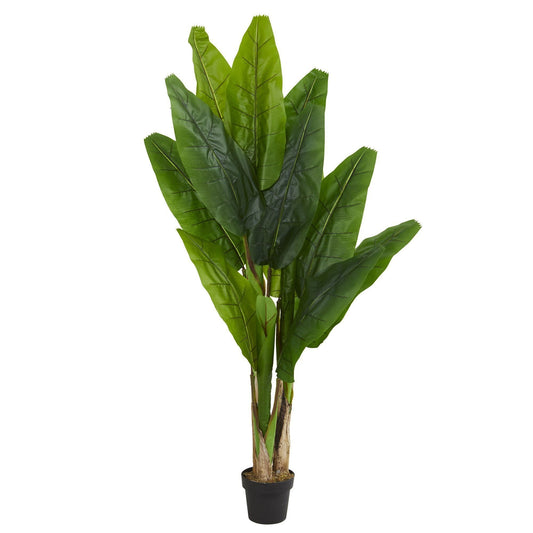 6’ Triple Stalk Banana Artificial Tree by Nearly Natural with lush green leaves in a black pot on Tampa Home & Garden Store