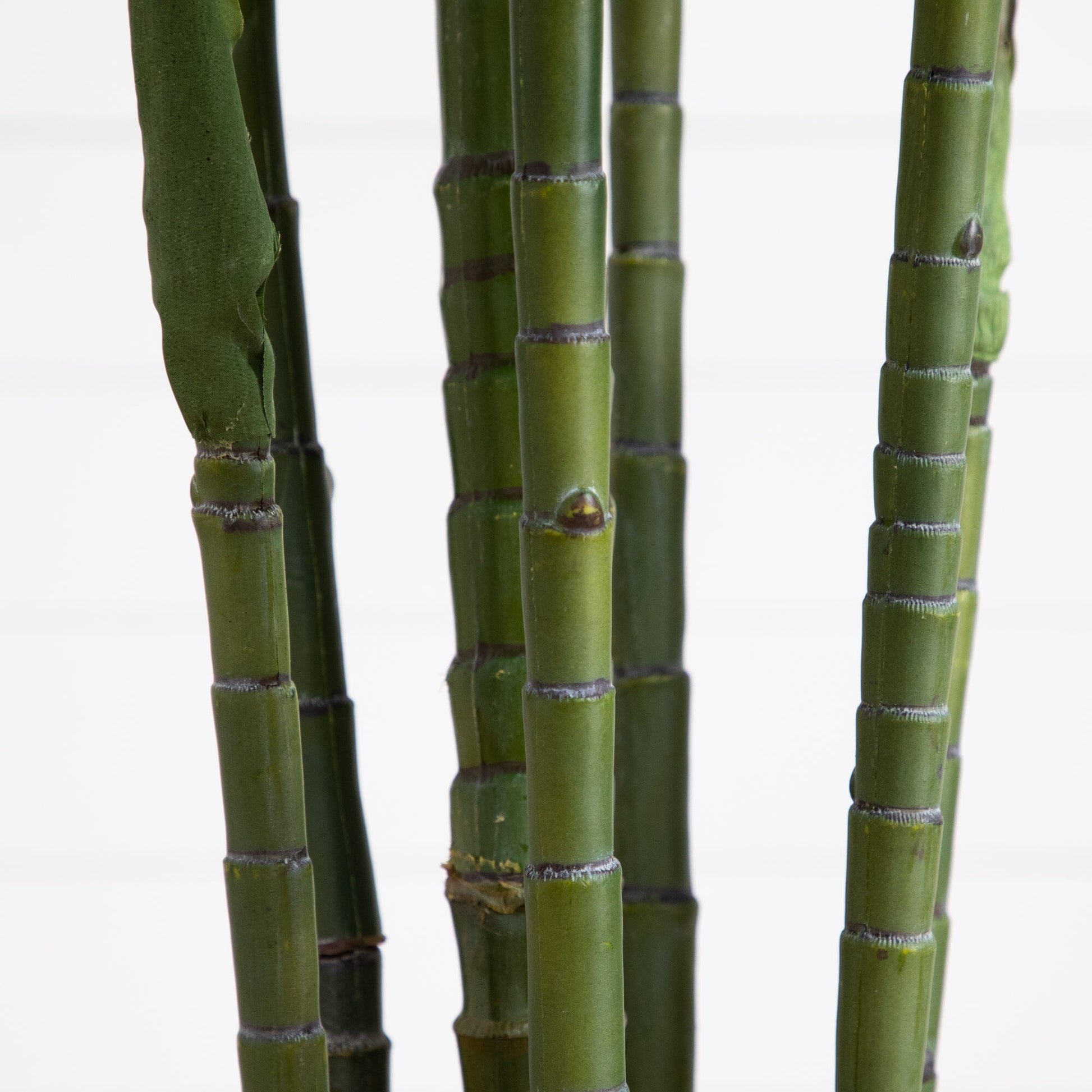 Areca Palm artificial tree stalks, 6 ft Tropic silk, green bamboo stems, Nearly Natural on Tampa Home & Garden Store