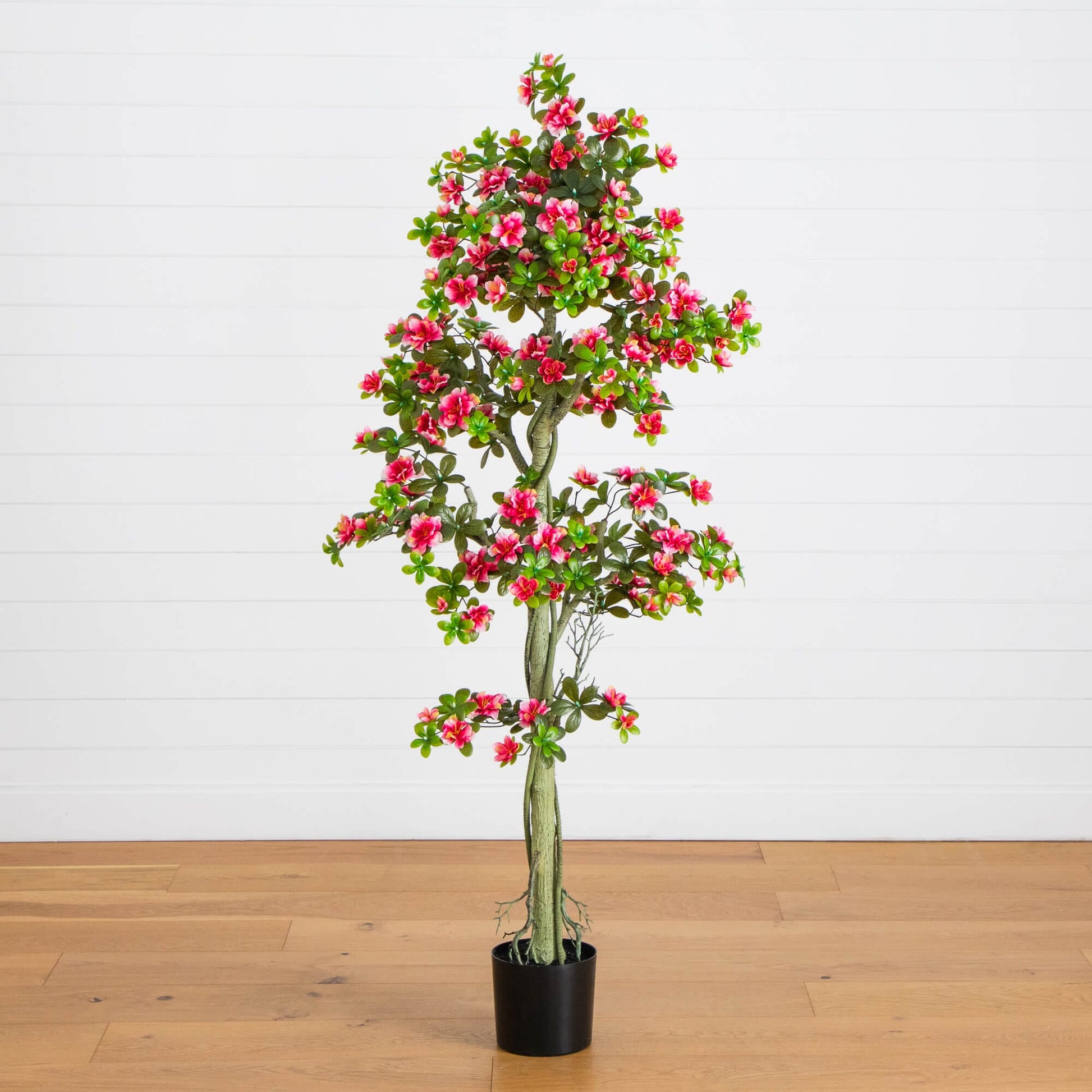 Artificial azalea tree, 6 ft, UV resistant, Nearly Natural, in black pot for indoor outdoor on Tampa Home & Garden Store