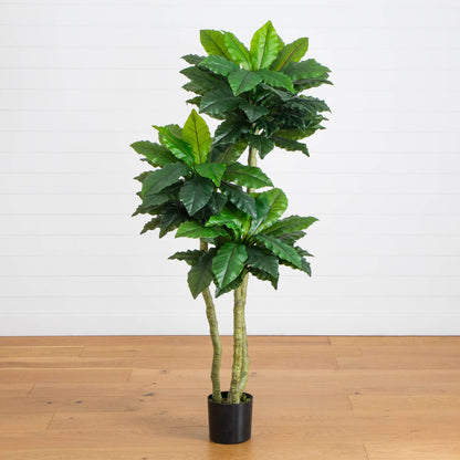 6' UV-resistant Bird Nest Fern Tree by Nearly Natural with glossy green leaves in a black pot on Tampa Home & Garden Store