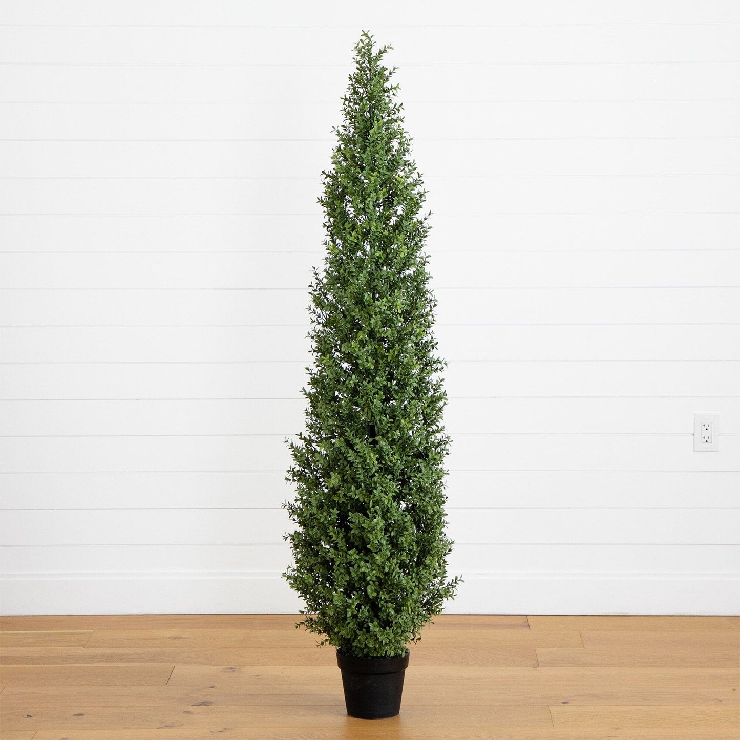 Artificial Boxwood Topiary Tree And A UV Shield