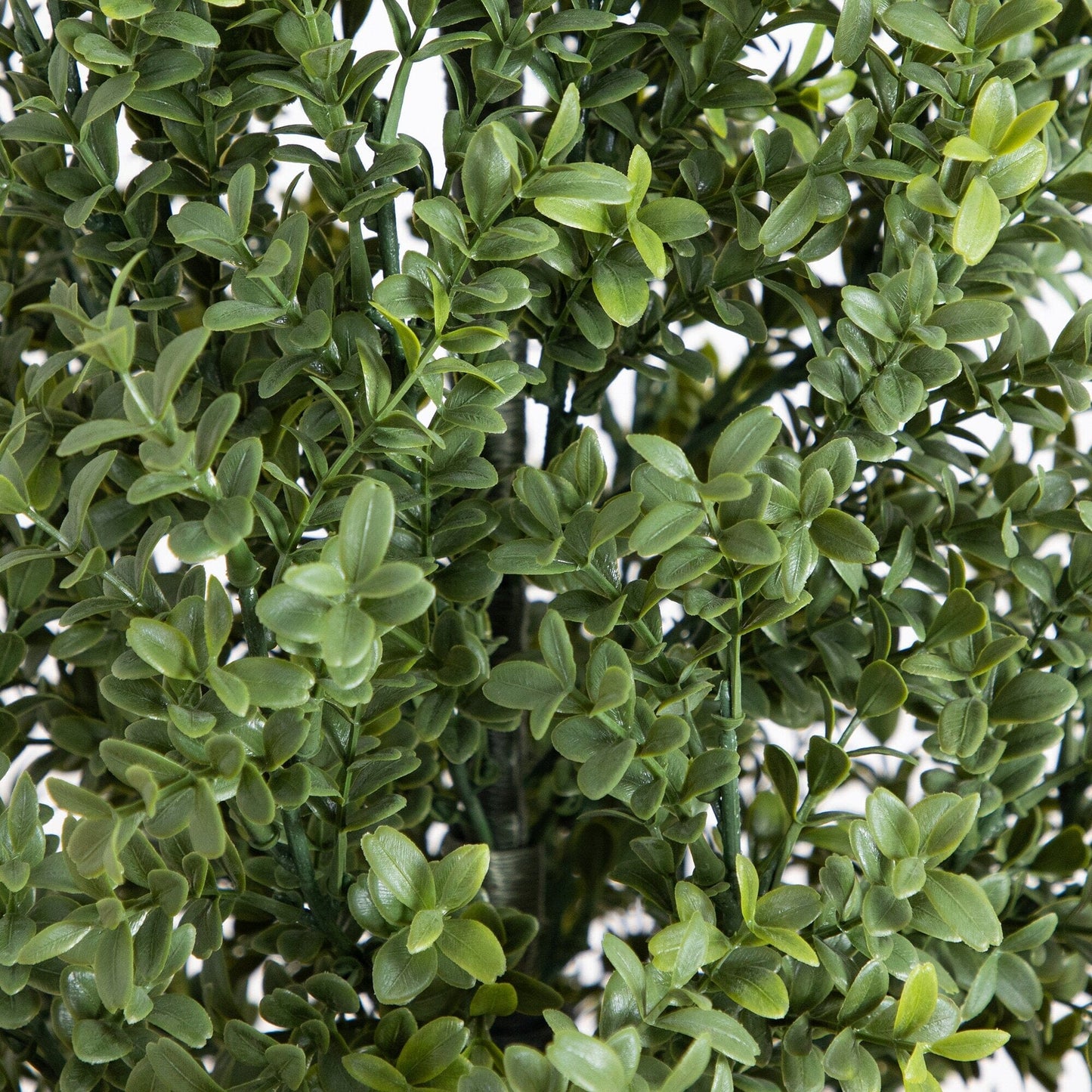 Artificial Boxwood Topiary Tree And A UV Shield