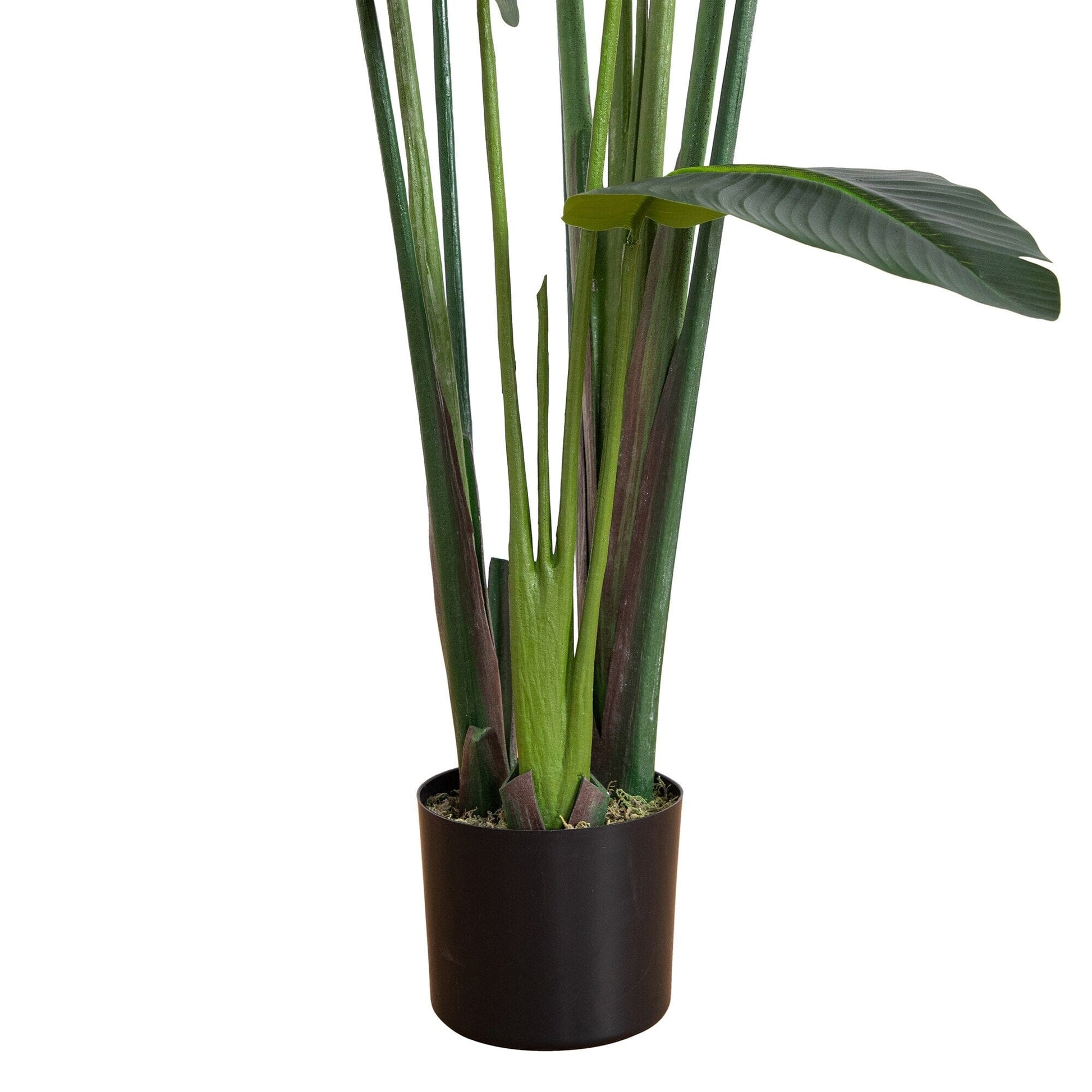 6 ft UV resistant artificial traveler's palm tree in a brown pot by Nearly Natural on Tampa Home & Garden Store