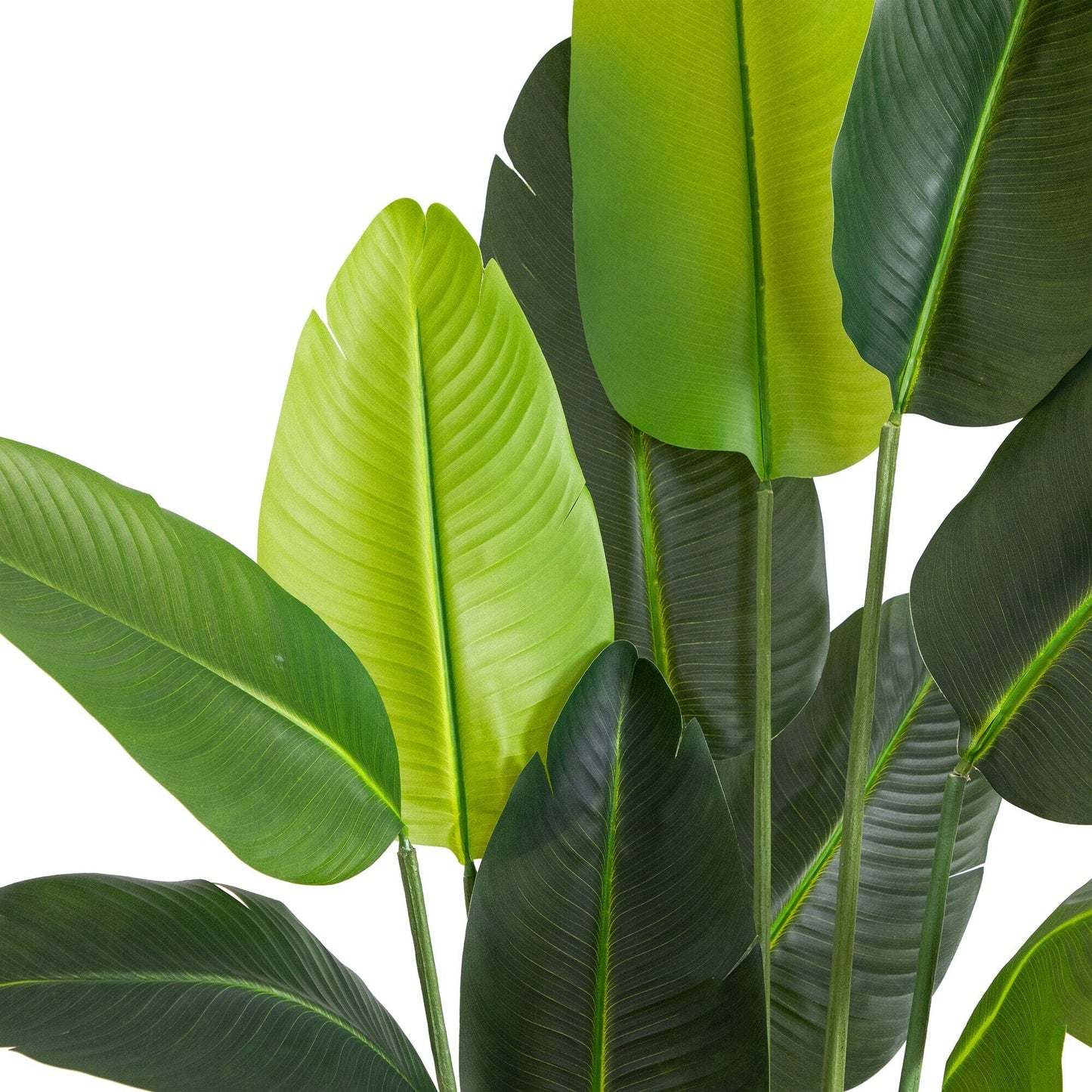 6’ UV resistant artificial Traveler’s Palm tree leaves, Nearly Natural, indoor/outdoor on Tampa Home & Garden Store