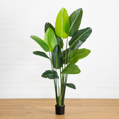 6’ UV resistant artificial Traveler's Palm Tree with green leaves in a black pot on Tampa Home & Garden Store