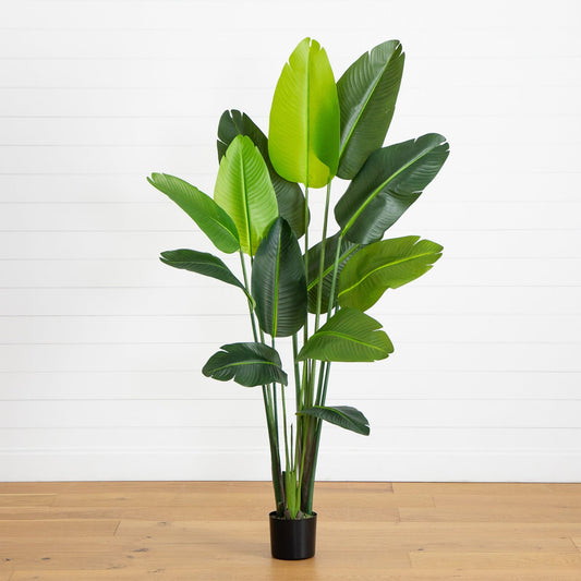 6’ UV resistant artificial Traveler's Palm Tree with green leaves in a black pot on Tampa Home & Garden Store