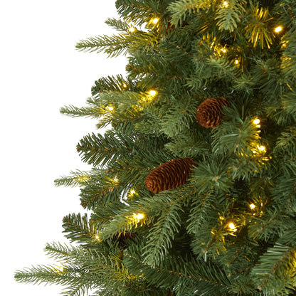 6 Foot Wellington Spruce Tree and Clear Lights