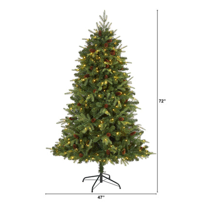 6 Foot Wellington Spruce Tree and Clear Lights