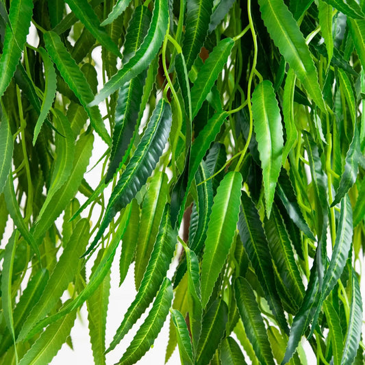 6 ft Willow artificial tree Real Touch with bright green serrated leaves Nearly Natural on Tampa Home & Garden Store