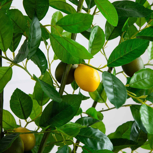 61in lemon artificial tree Nearly Natural with bright green leaves and yellow lemons on Tampa Home & Garden Store