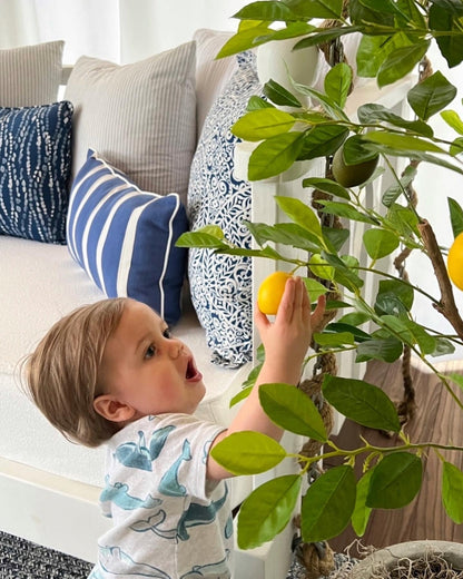 61” Lemon Artificial Tree by Nearly Natural with bright green leaves and lemons, set near a sofa on Tampa Home & Garden Store