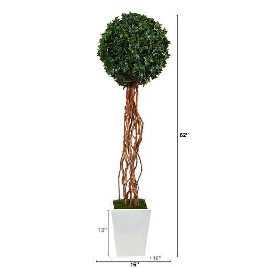 62-inch English Ivy topiary tree artificial in a white square planter on Tampa Home & Garden Store
