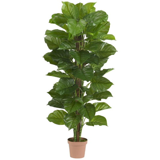 63 Inch Real Touch Philodendron Silk Plant with green leaves in terracotta pot on Tampa Home & Garden Store