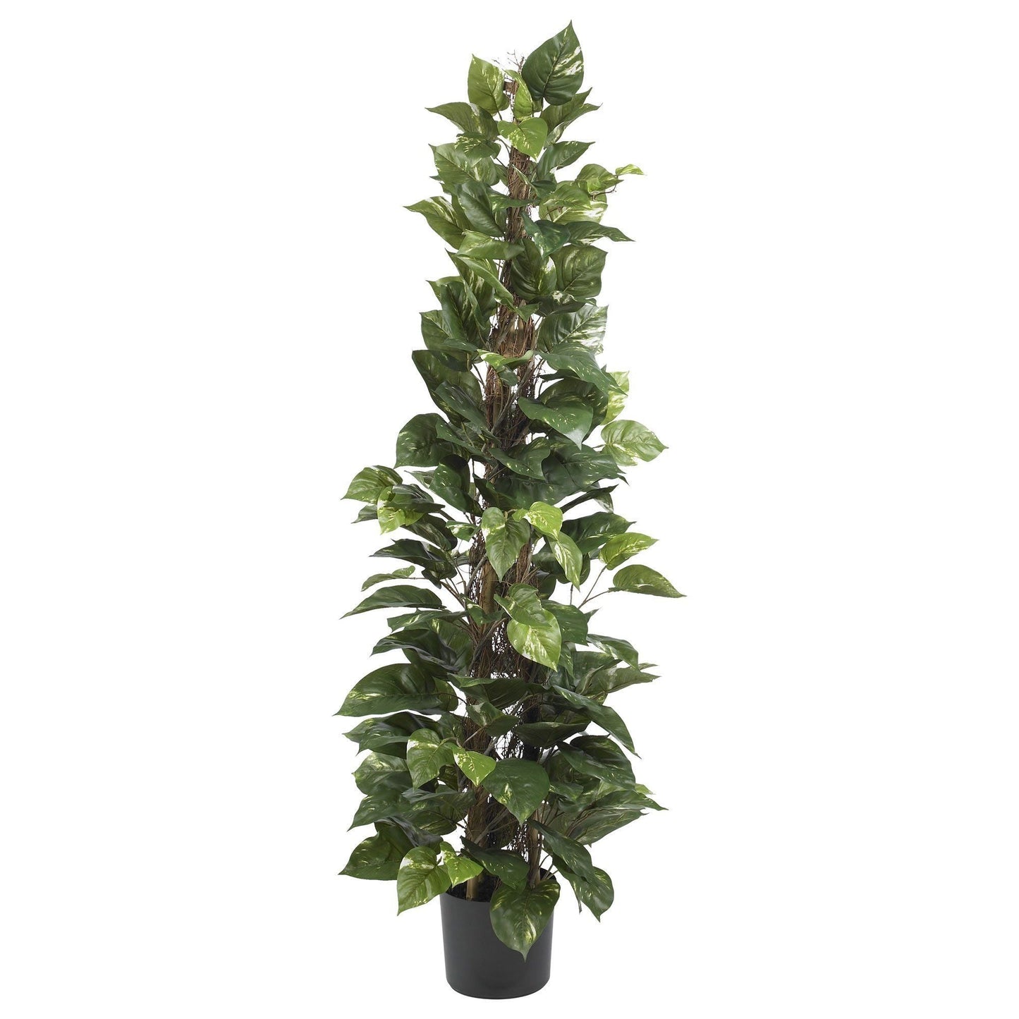 63-inch Pothos Climbing Silk Plant Nearly Natural artificial green leaves in tall black pot on Tampa Home & Garden Store