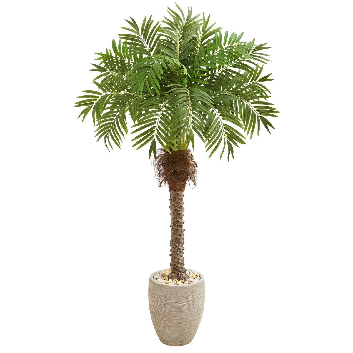 63-inch Robellini Palm artificial tree in sandstone planter by Nearly Natural on Tampa Home & Garden Store