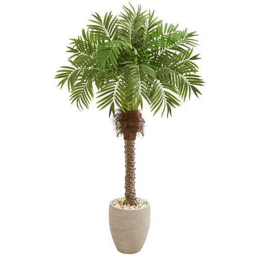 63-inch Robellini Palm artificial tree in sandstone planter by Nearly Natural on Tampa Home & Garden Store