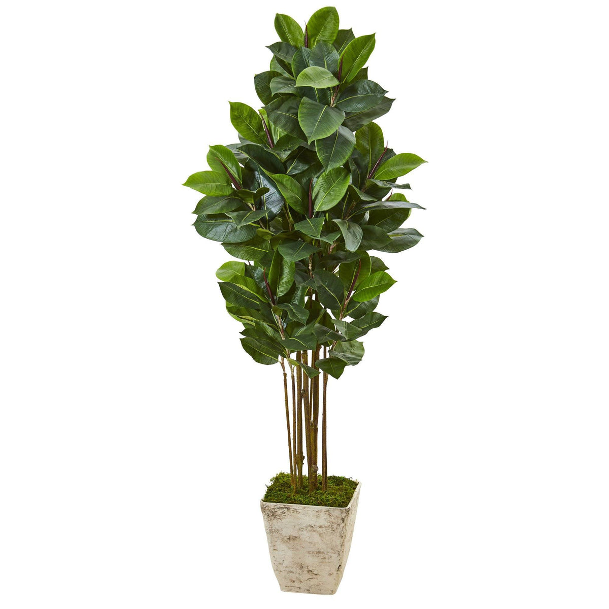 63” Rubber Leaf Artificial Tree in Country White Planter Nearly Natural with dark-green leaves on Tampa Home & Garden Store