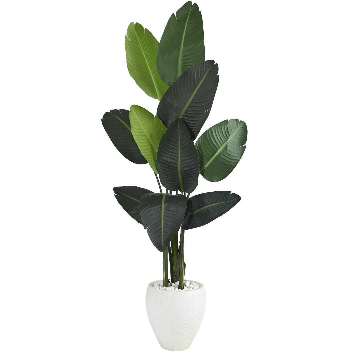 63in Traveler's Palm artificial tree in white planter by Nearly Natural on Tampa Home & Garden Store