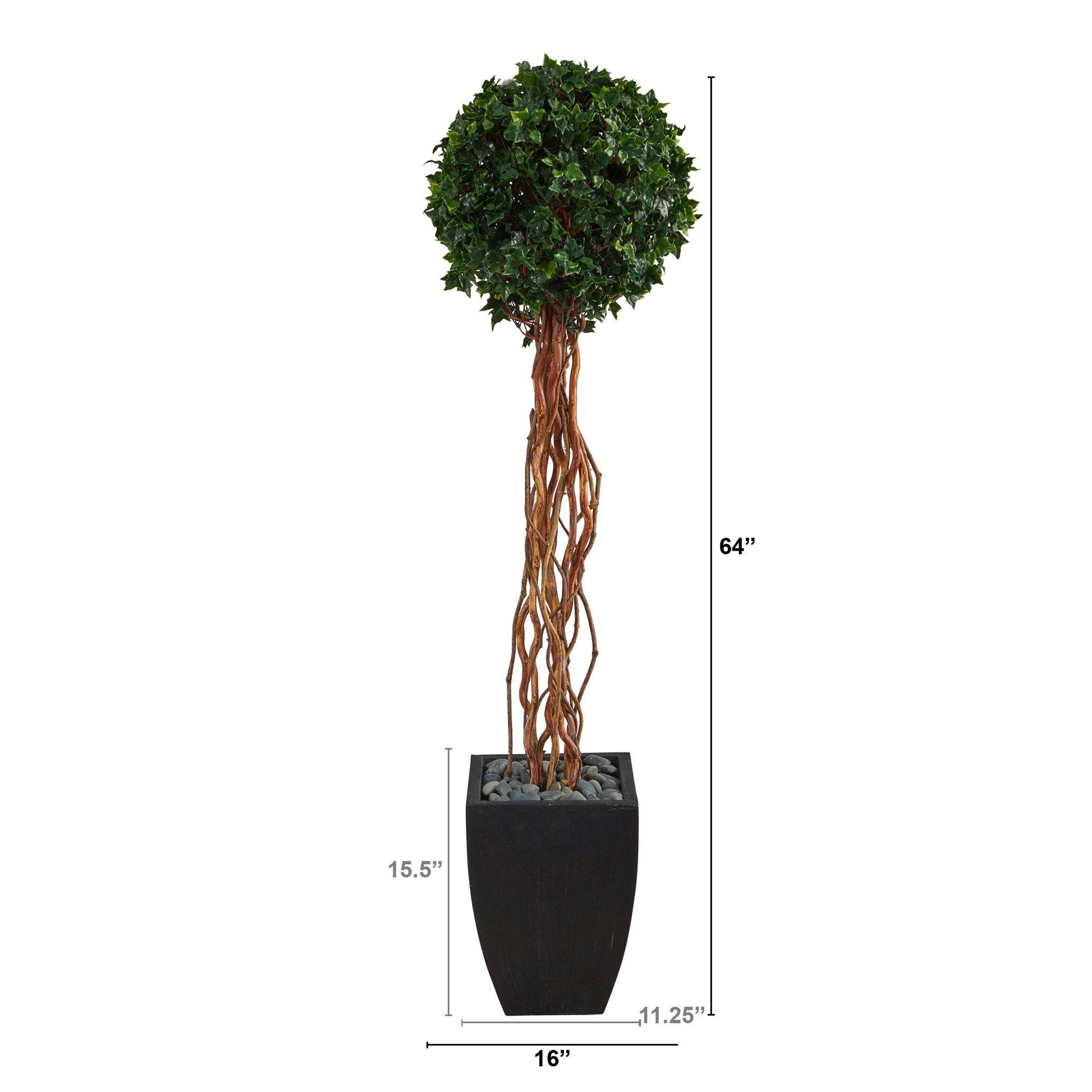 English Ivy topiary tree 64in in black planter by Nearly Natural indoor/outdoor use on Tampa Home & Garden Store