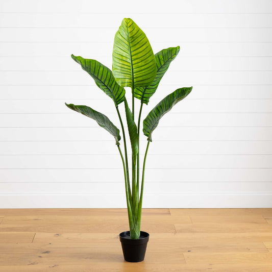 64” Travelers Palm Tree UV Resistant (Indoor/Outdoor) - Tampa Home & Garden Store