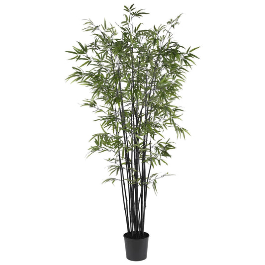 6.5' Black Bamboo Silk Tree - Tampa Home & Garden Store